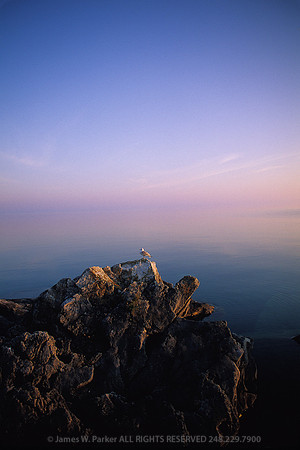 The Early Bird