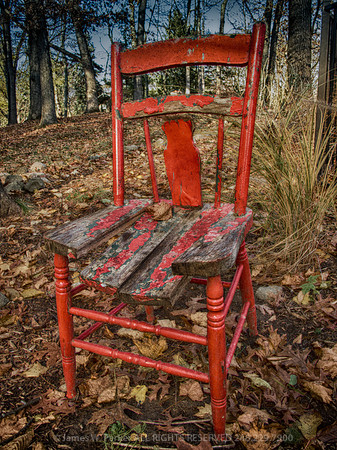 A Chair in the Woods