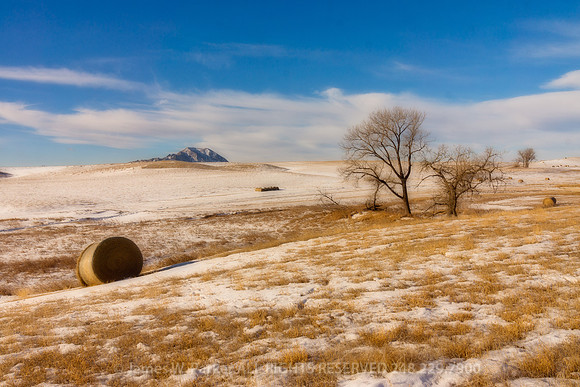 A Winter's Dream