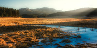 Cold January Afternoon