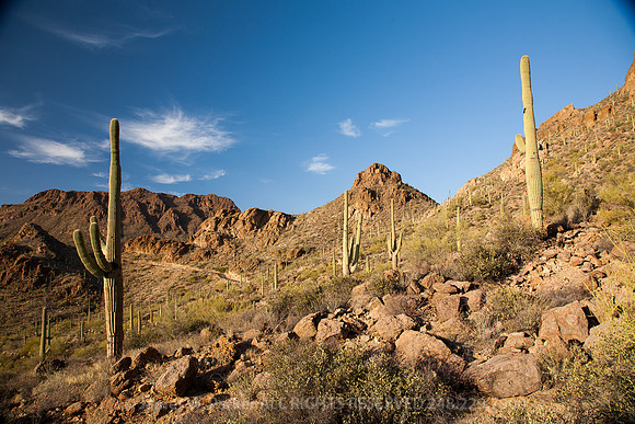 Gates Pass