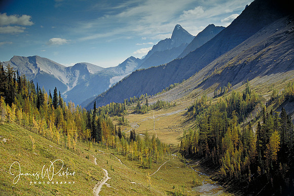 The Long and Winding Trail