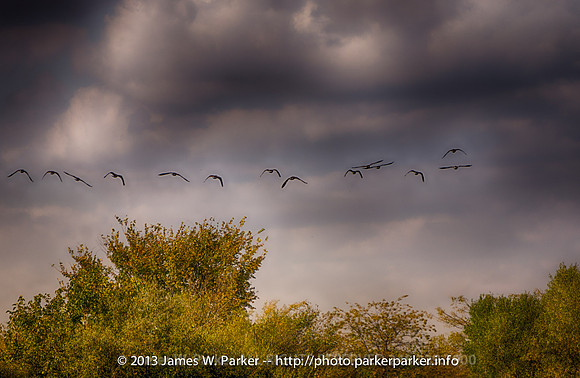 Unidentified Flying Objects