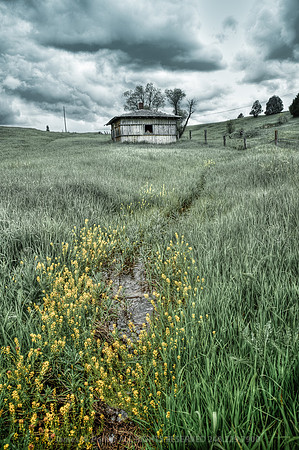 Wellspring