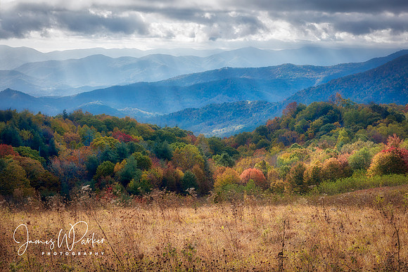 Autumn Mist at Purchase Knob