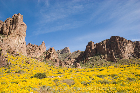 The Flatiron and Superstion Mountains