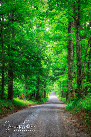 Sparks Lane