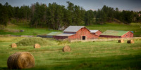 Green Harvest