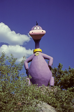 Dino's Steamed!
