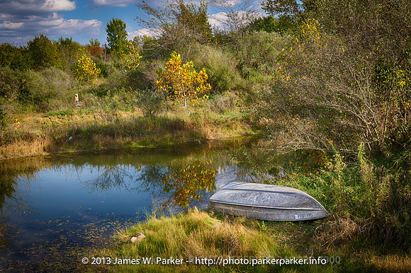 Boat and Wood Duck Habitat