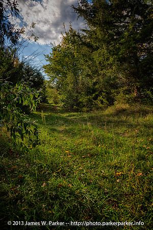 Road Behind Paw Hill