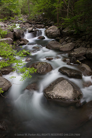 Spring Flow