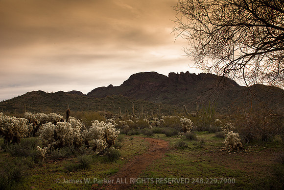 Vulture Peak