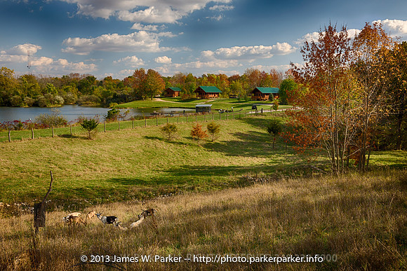 Three Cabins from Paw Hill with Goats