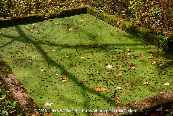 Old Watering Trough