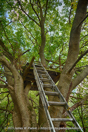 The Best Deer Stand Ever
