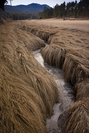 Palmer Creek