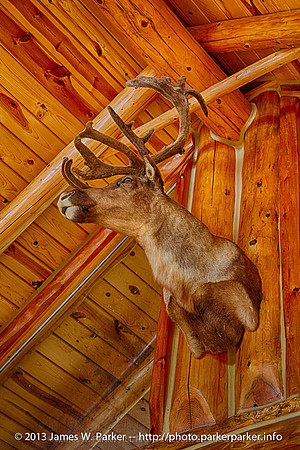 Cabin Two Caribou Mount