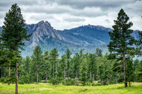 Twin Springs Meadow