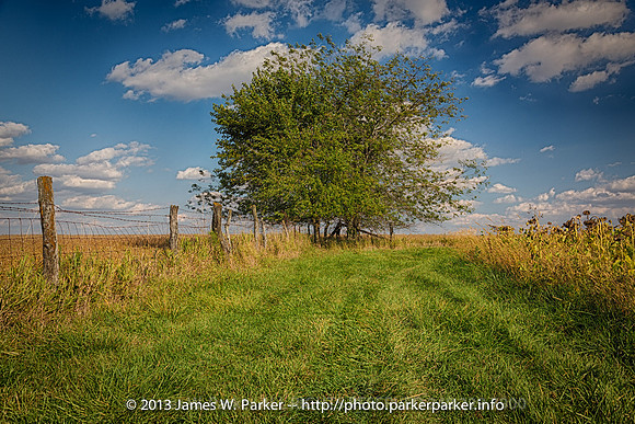 Dove Field and Perimeter Road
