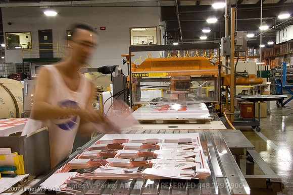 Wolf Envelope Corporate Shoot