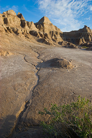 Rivulet