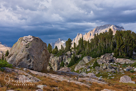 Dramatic Erratic