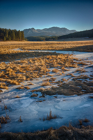 Carl's Meadow