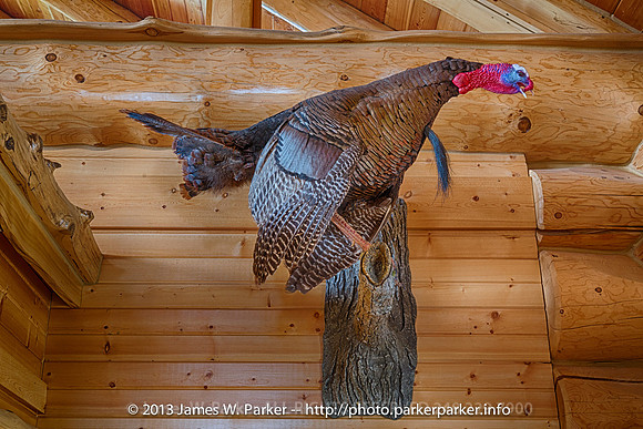Matt's Turkey