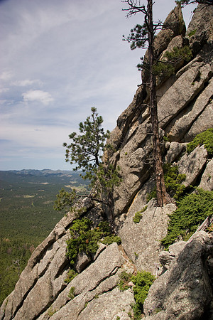 Up on Elkhorn