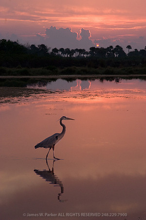 Merritt Island