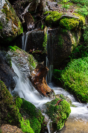 Nelson Creek