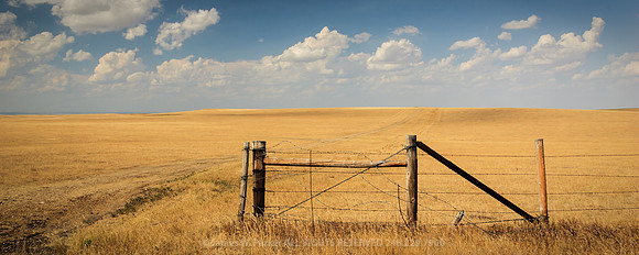 Don't Fence Me In